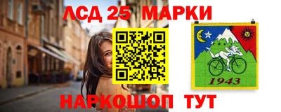 индика Будённовск