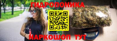 индика Будённовск